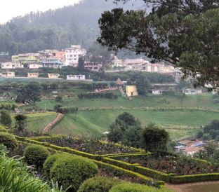 Ooty